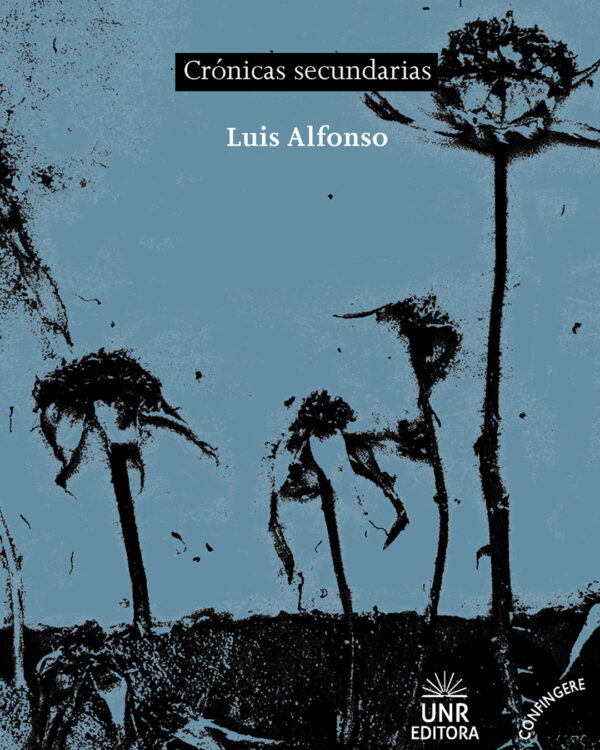 Narrativa Archivos Editora Unr